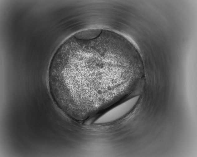 X0000089700895200707201738