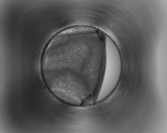 X0000089700896200707201738