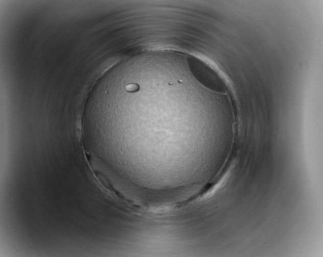 X0000089700897200707201738