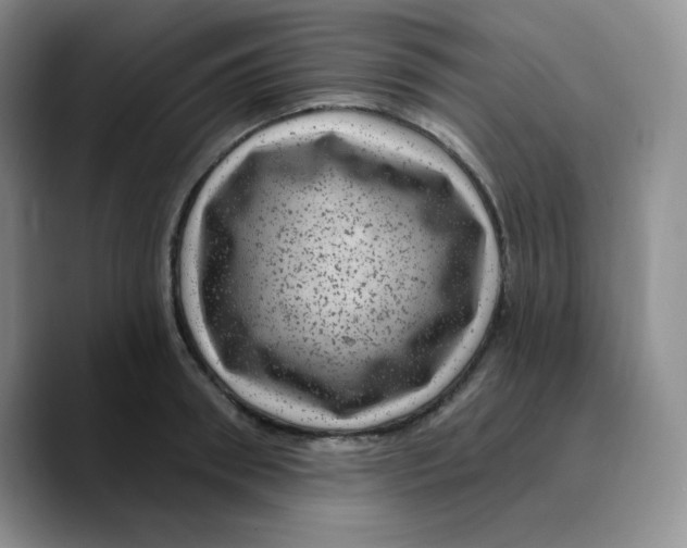 X0000089700898200707201738