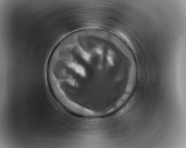 X0000089700899200707201738