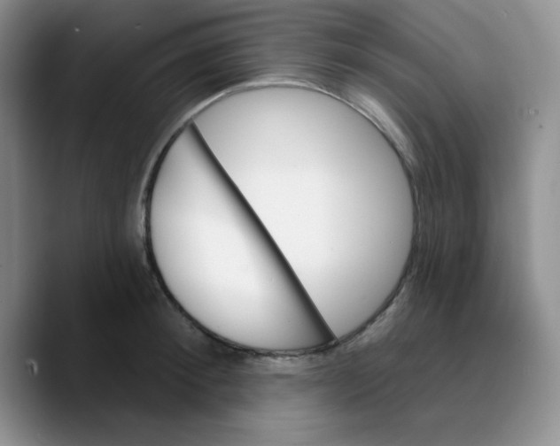 X0000089700900200707201738