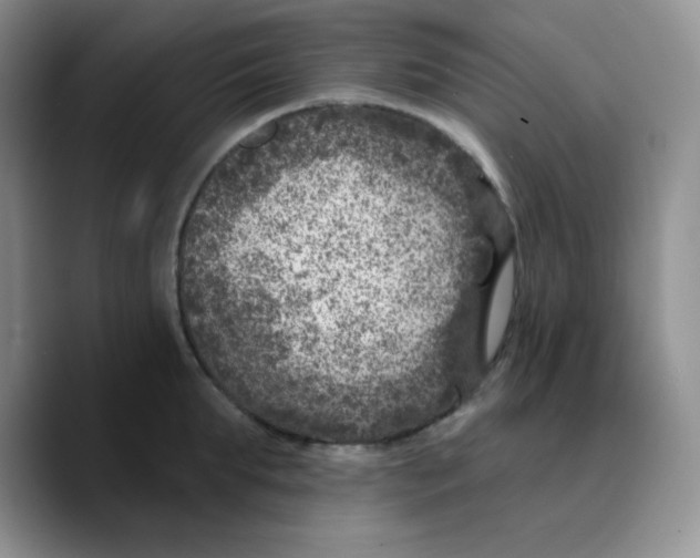 X0000089700903200707201738