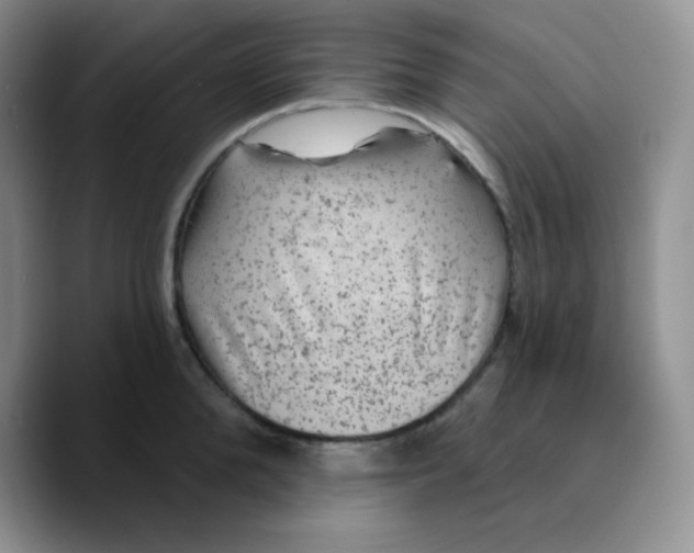 X0000089700904200707201738