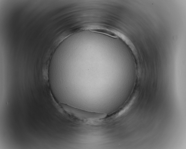 X0000089700905200707201738