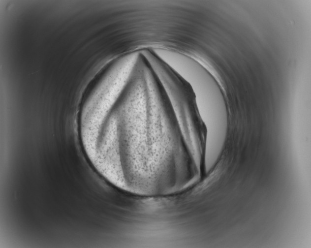 X0000089700906200707201738