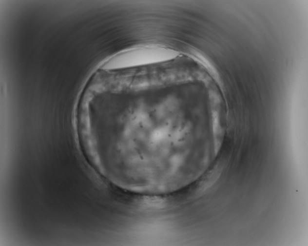 X0000089700907200707201738