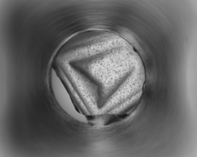 X0000089700908200707201738