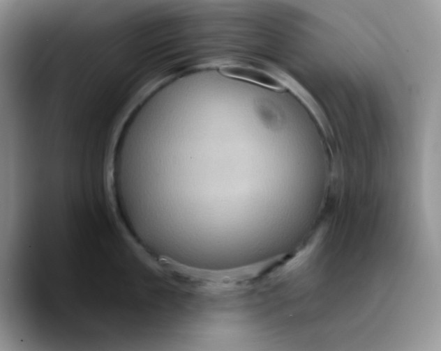 X0000089700909200707201738