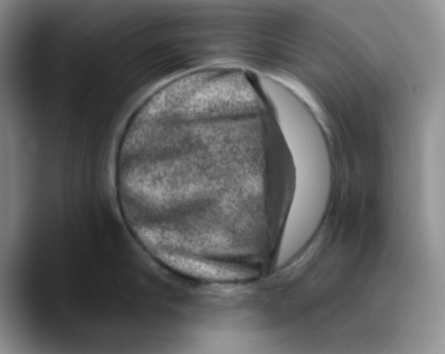 X0000089700910200707201738