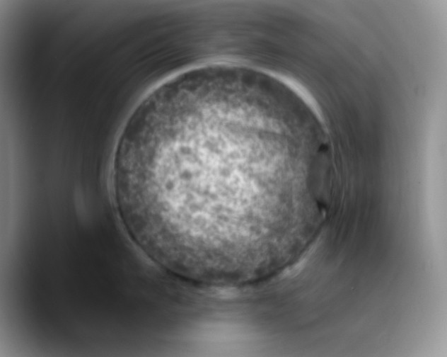 X0000089700911200707201738