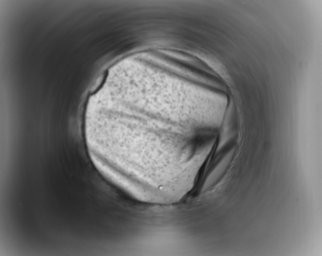 X0000089700912200707201738
