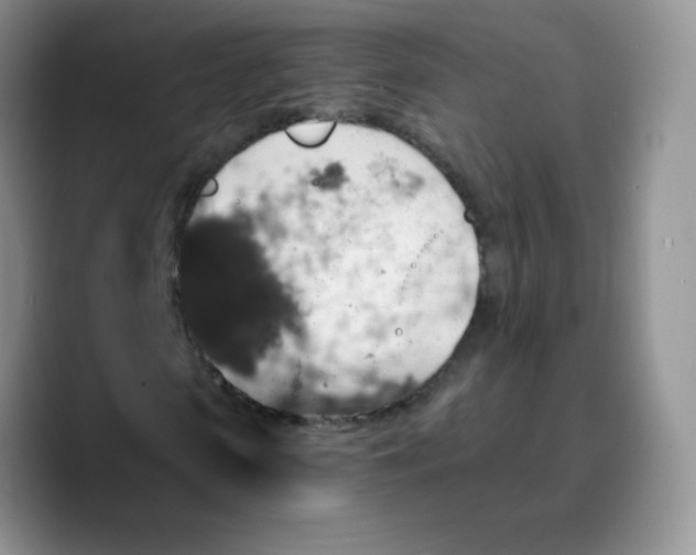 X0000089700913200707201737