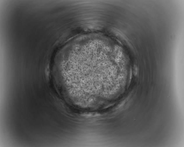X0000089700915200707201737