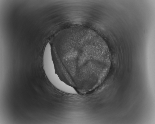 X0000089700916200707201737