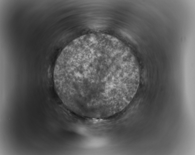 X0000089700917200707201737