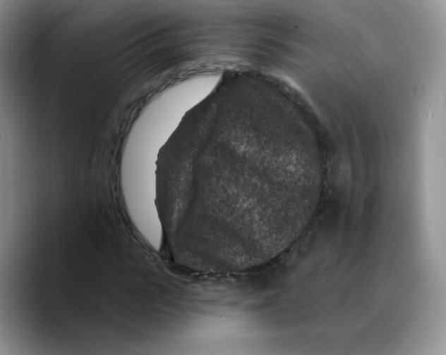 X0000089700919200707201737