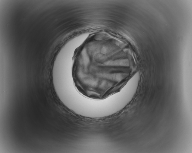 X0000089700920200707201737