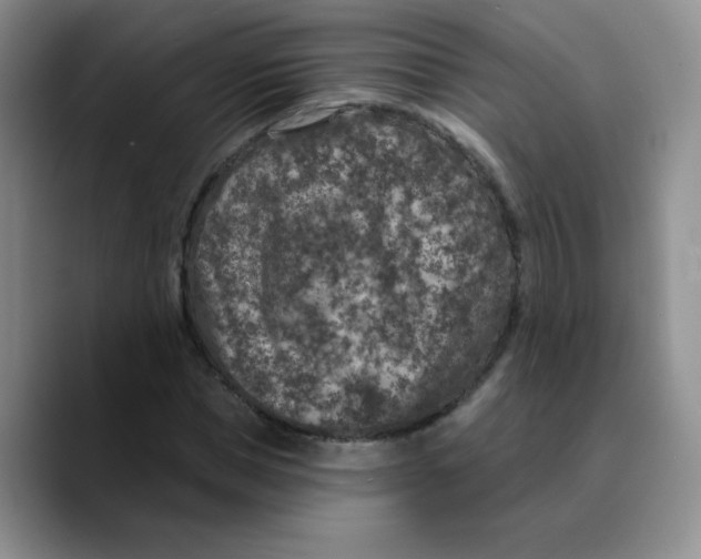 X0000089700921200707201737