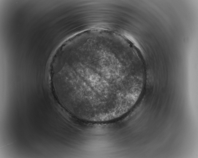 X0000089700923200707201737