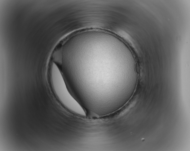 X0000089700924200707201737