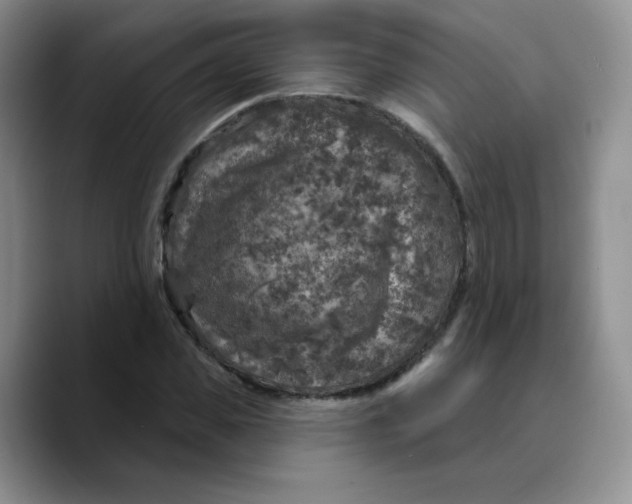 X0000089700925200707201737