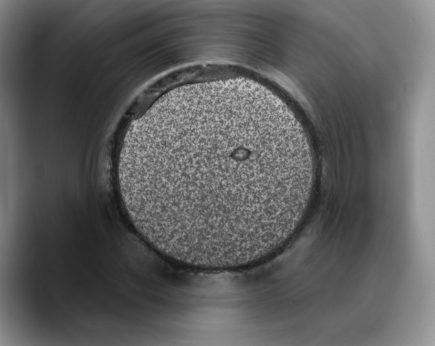 X0000089700926200707201737