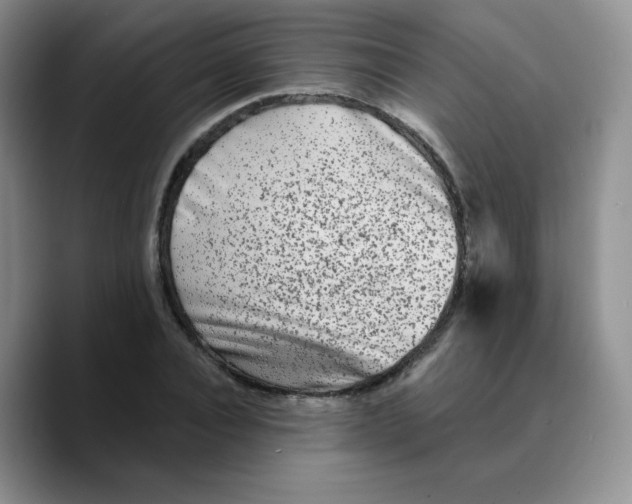 X0000089700928200707201737