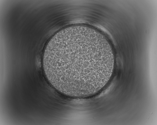 X0000089700929200707201737