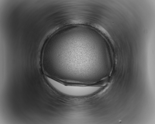 X0000089700930200707201737