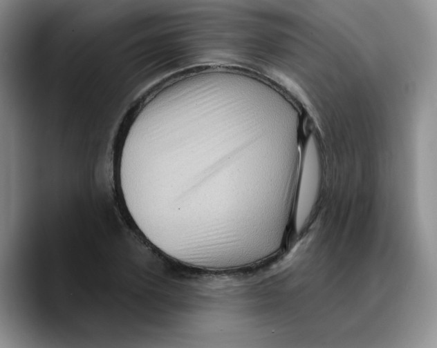 X0000089700931200707201737