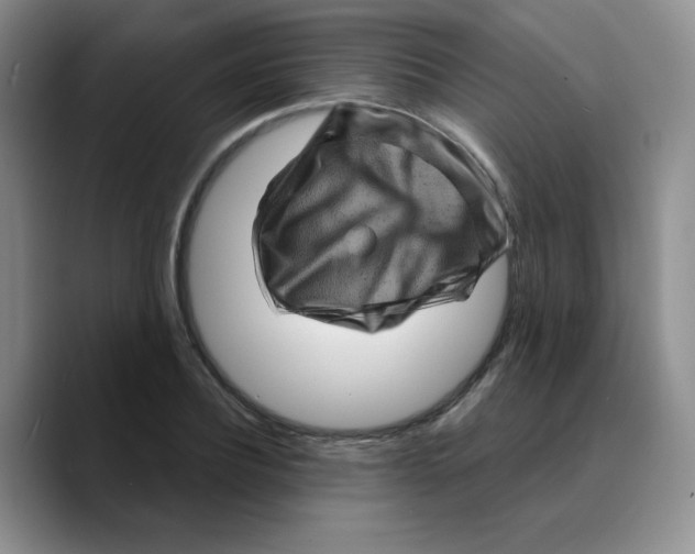 X0000089700932200707201737