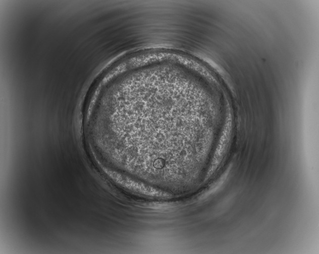 X0000089700933200707201737