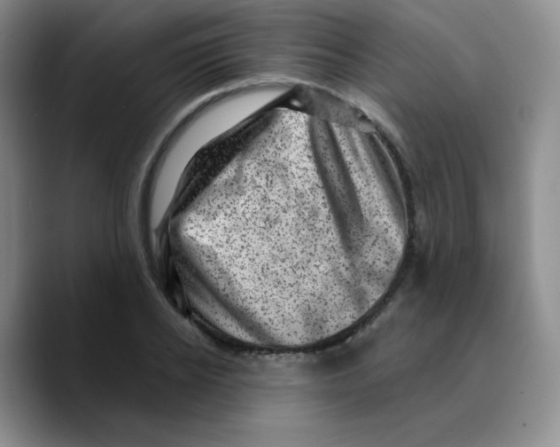 X0000089700934200707201737