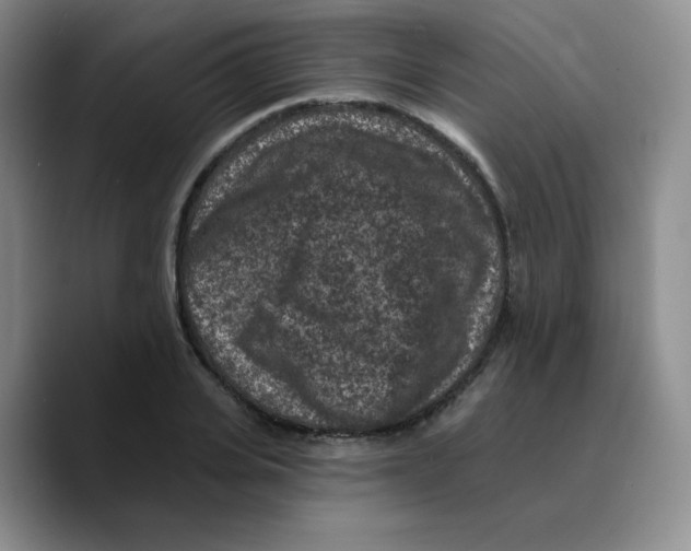 X0000089700935200707201737
