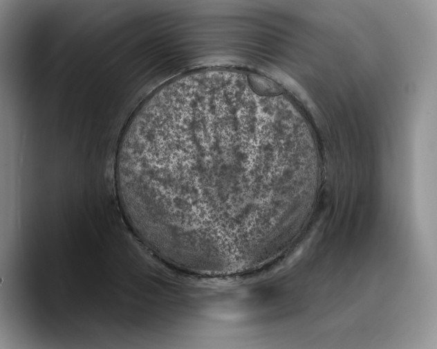 X0000089700937200707201737