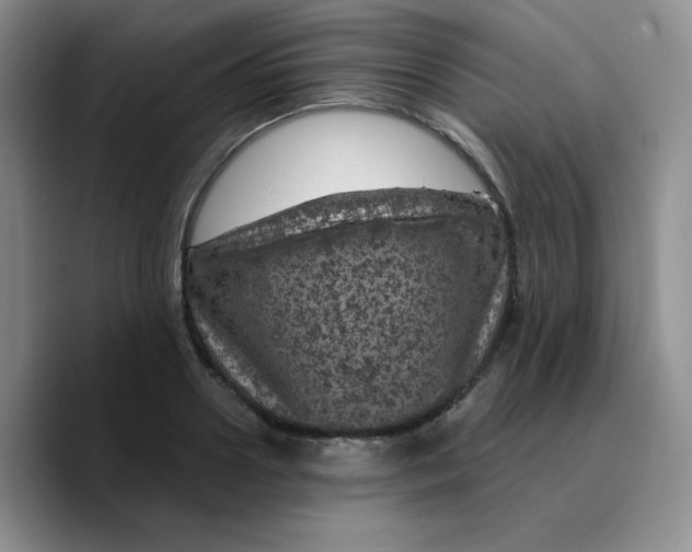 X0000089700938200707201737