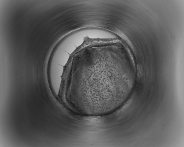X0000089700939200707201737