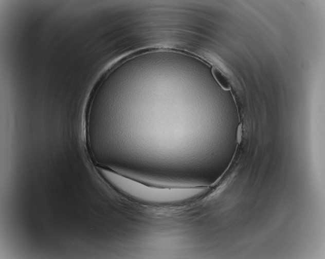 X0000089700940200707201737