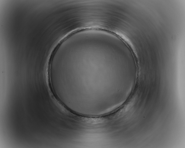 X0000089700941200707201737