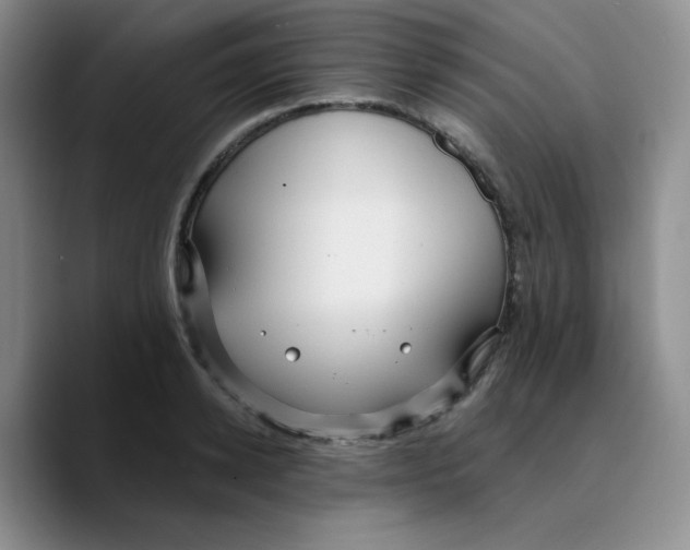 X0000089700942200707201737