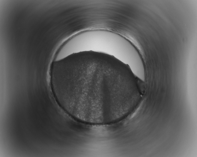 X0000089700944200707201737