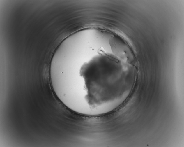 X0000089700945200707201737