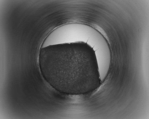 X0000089700946200707201737