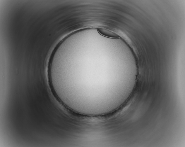 X0000089700947200707201737