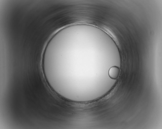 X0000089700948200707201737