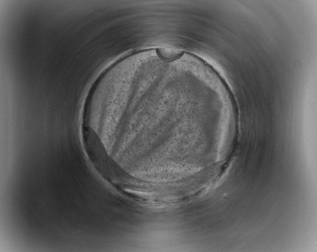 X0000089700949200707201737