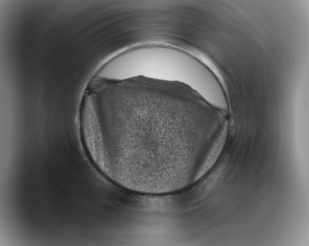 X0000089700951200707201738
