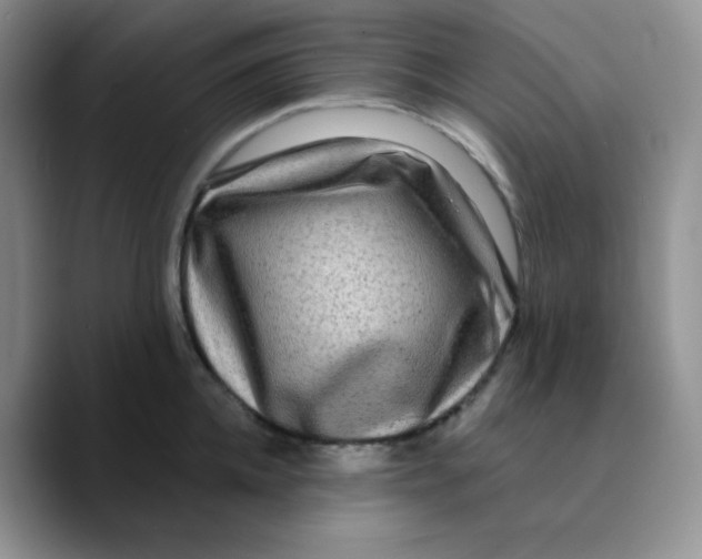 X0000089700952200707201738