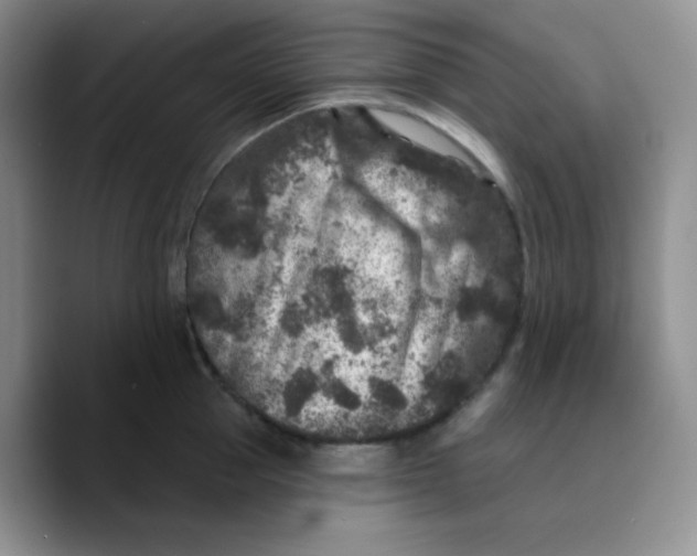 X0000089700953200707201738